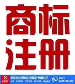 渝中代理記賬 向企而創(chuàng)，在線咨詢助力企業(yè)財(cái)務(wù)無憂